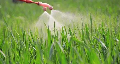 the precautions during the use of fungicides