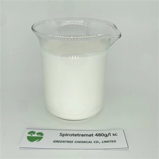 Spirotetramat 40% 480 G/l SC তরল রাসায়নিক কীটনাশক